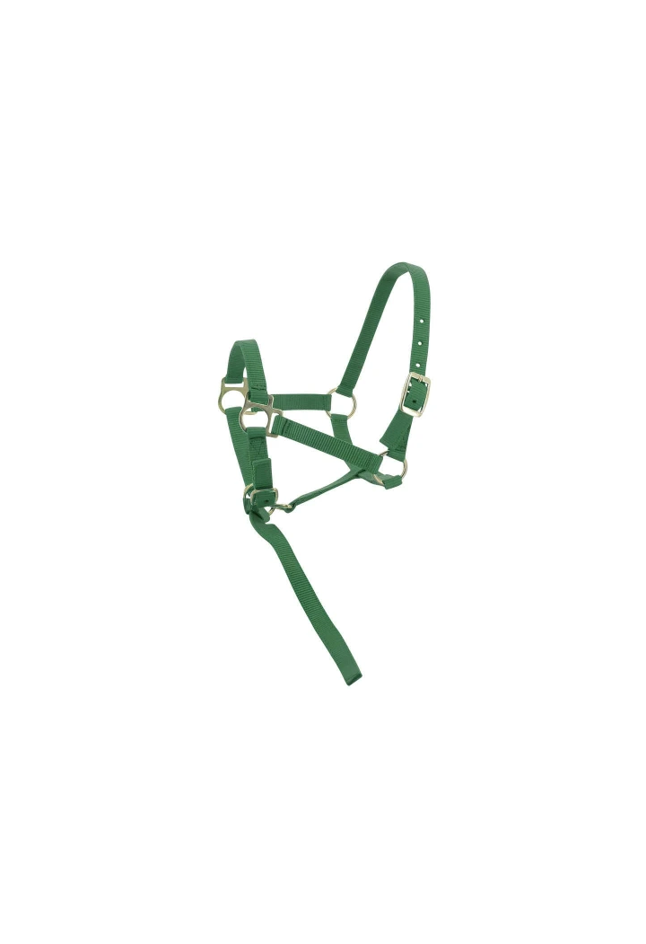 Kantar EKKIA headcollar + lead rope