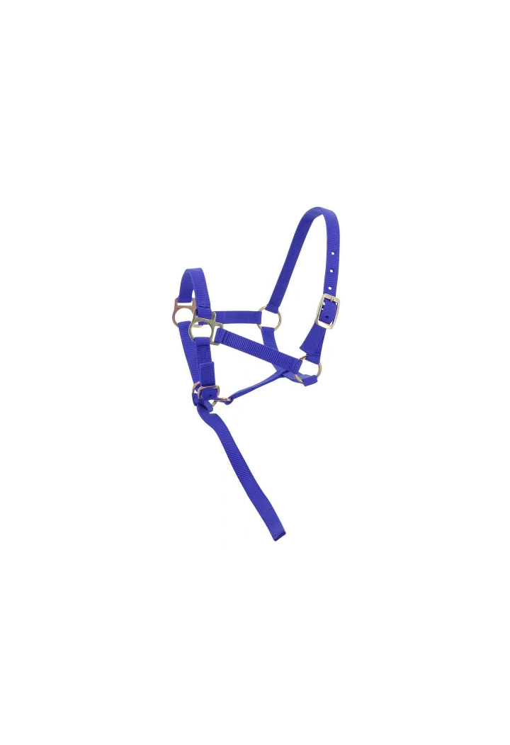 Kantar EKKIA headcollar + lead rope