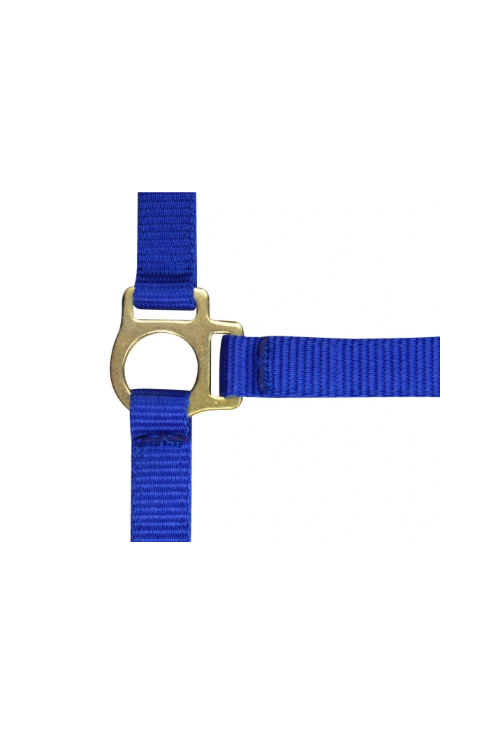 Kantar EKKIA headcollar + lead rope