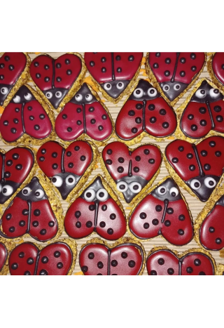 Ciastko PAKA DLA RUMAKA Biedronka Czerwona