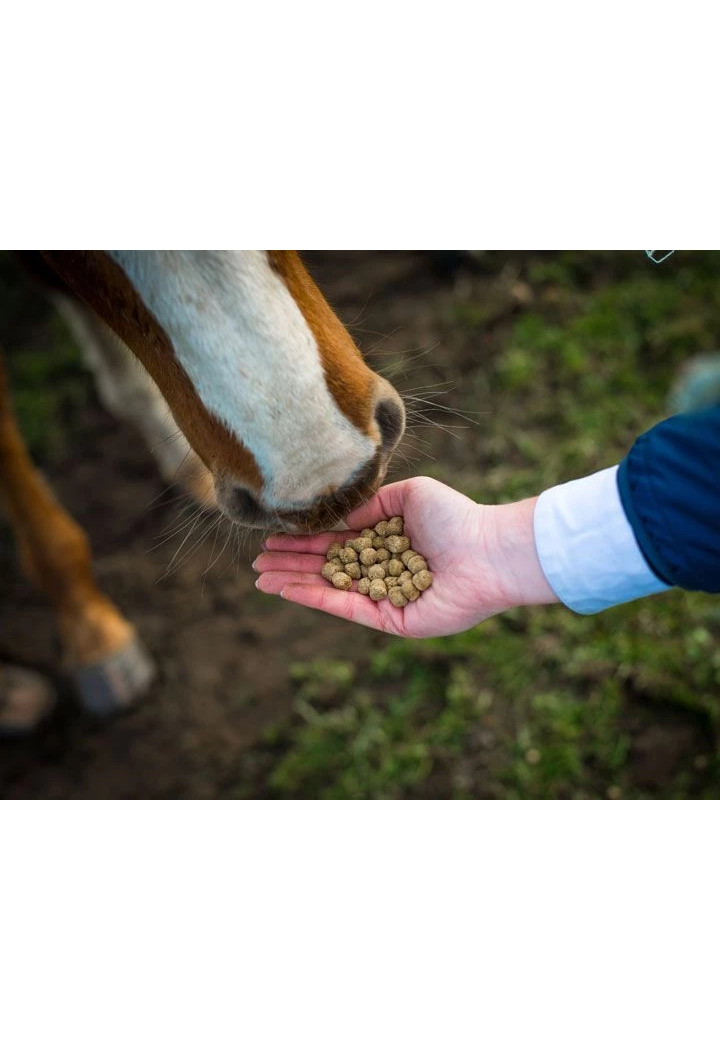 Pasza CAVALOR Start&Go granulki z mlekiem 15kg