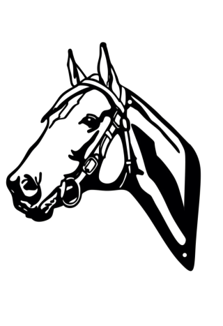 Ozdoba ścienna DECORMETAL Head with bit 30cm