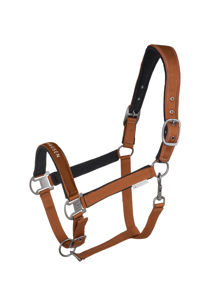 Kantar WALDHAUSEN Athletic