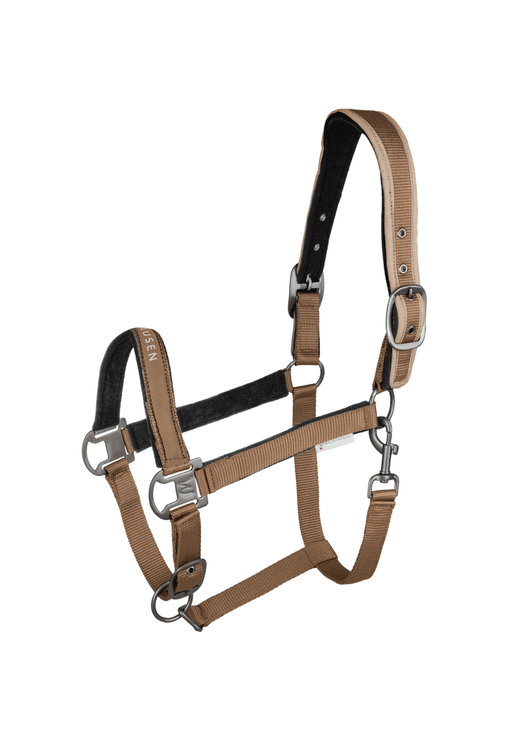 Kantar WALDHAUSEN Athletic