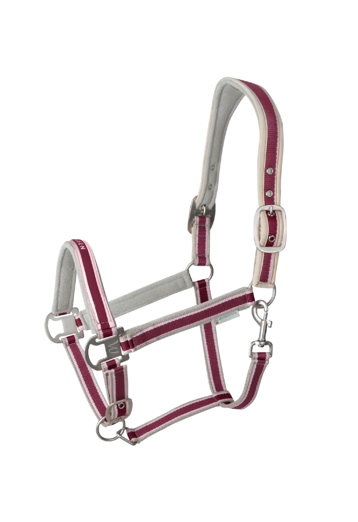 Kantar WALDHAUSEN Athletic