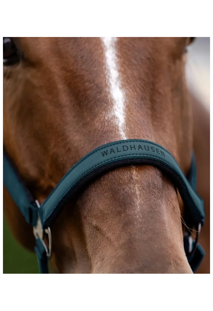 Kantar WALDHAUSEN Athletic