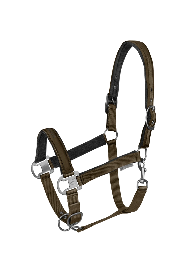 Kantar WALDHAUSEN Athletic