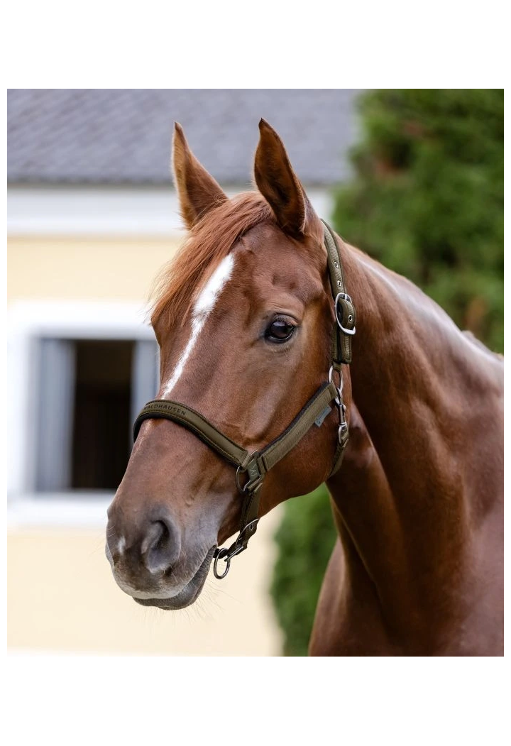 Kantar WALDHAUSEN Athletic