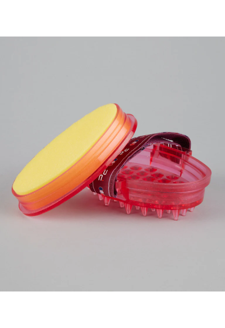 Szczotka z gąbką  PREMIER EQUINE Curry Comb