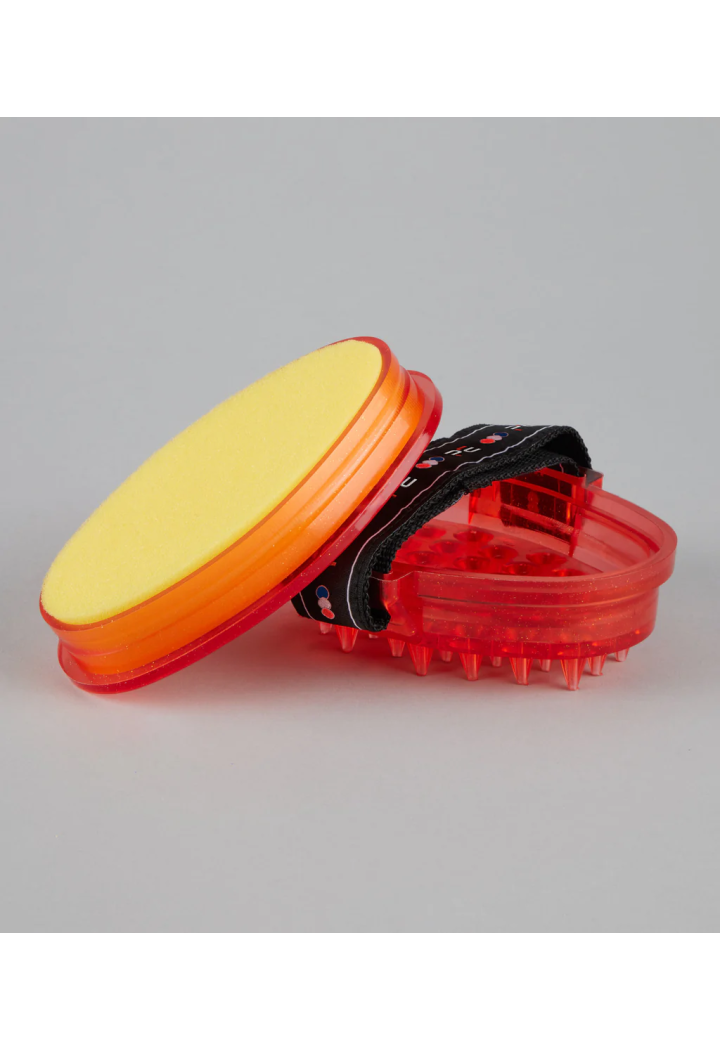 Szczotka z gąbką  PREMIER EQUINE Curry Comb