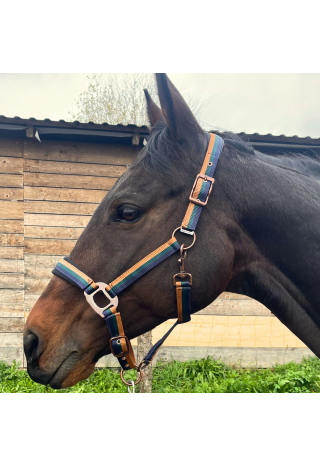 Kantar dla konia START Rustic