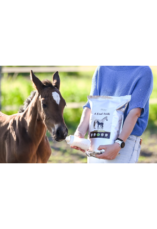 Mleko zastępcze OH 4 Foal Milk 4kg