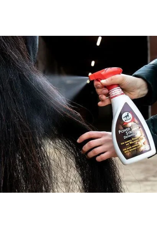 Odżywka do sierści LEOVET PowerStriegel 550ml orze