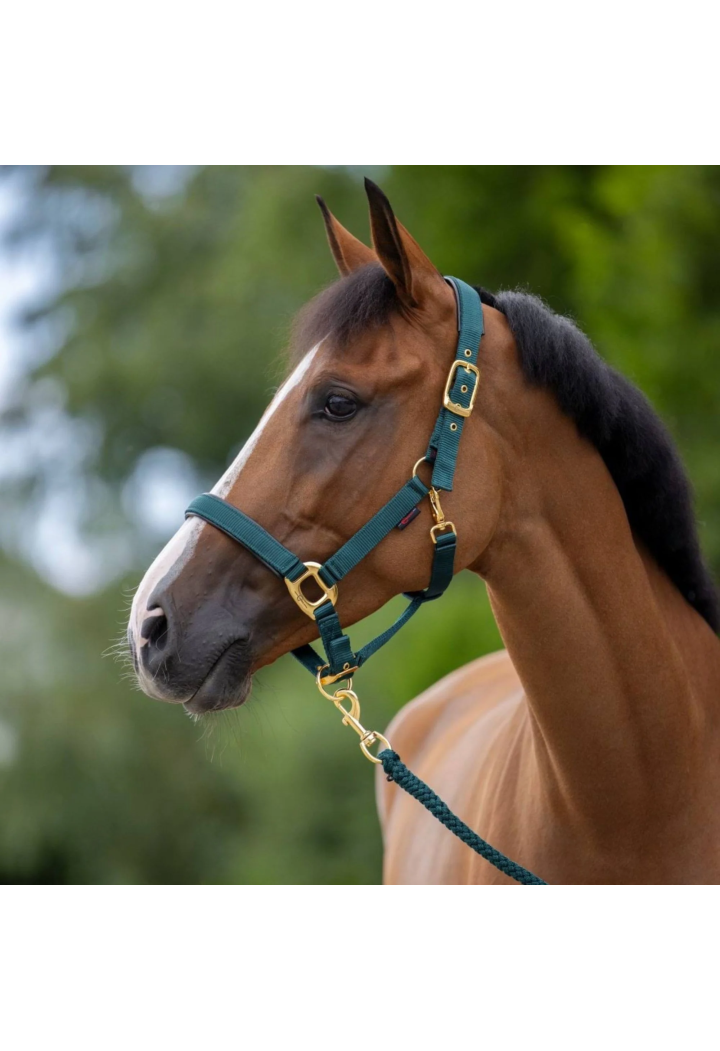 Kantar dla konia COVALLIERO TopLine | Sklep jeździecki Horse-Trade.pl