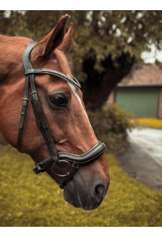 Ogłowie dla konia START Selene anatomiczne | Sklep jeździecki Horse-Trade.pl