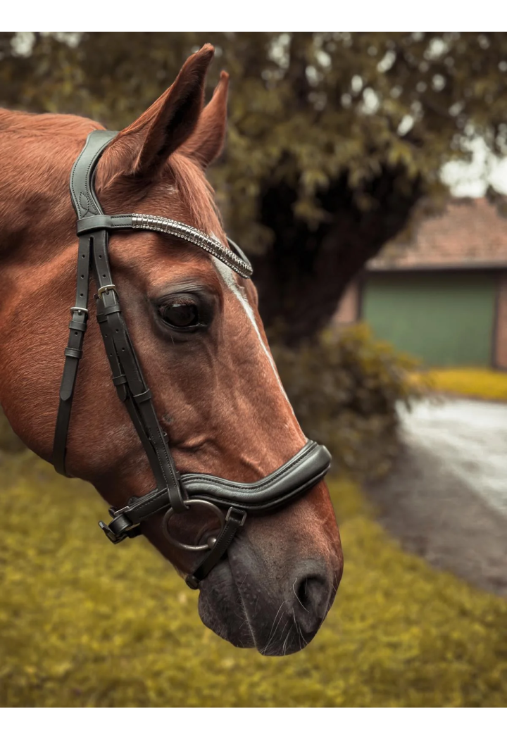 Ogłowie dla konia START Selene anatomiczne | Sklep jeździecki Horse-Trade.pl