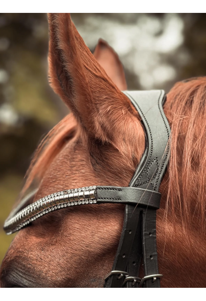 Ogłowie dla konia START Selene anatomiczne | Sklep jeździecki Horse-Trade.pl