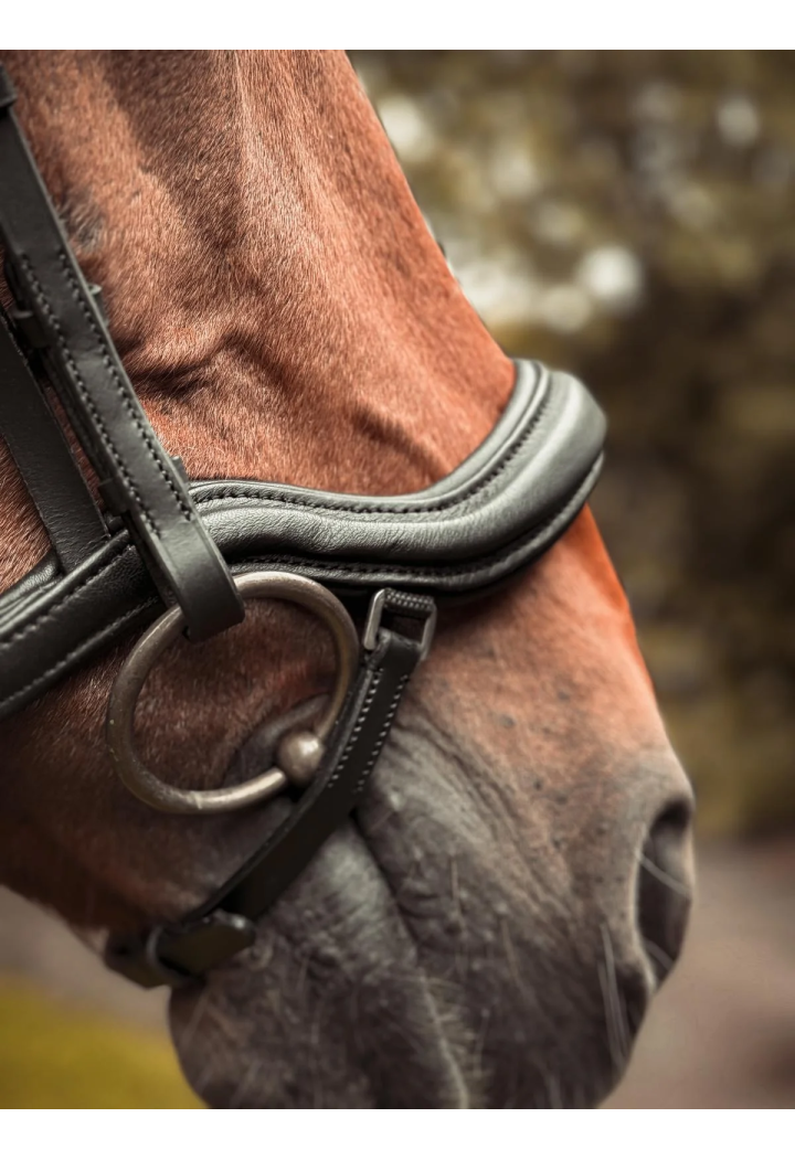 Ogłowie dla konia START Selene anatomiczne | Sklep jeździecki Horse-Trade.pl