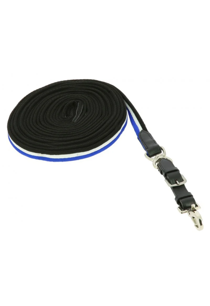 Lonża NORTON padded/leather 8m