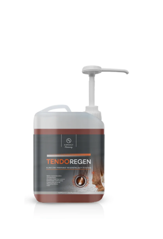 Suplement HIPPOVETPharmacy TendoRegen ścięgna 2,5l