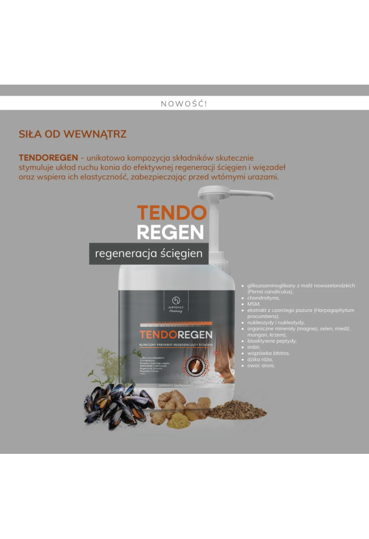 Suplement HIPPOVETPharmacy TendoRegen ścięgna 2,5l