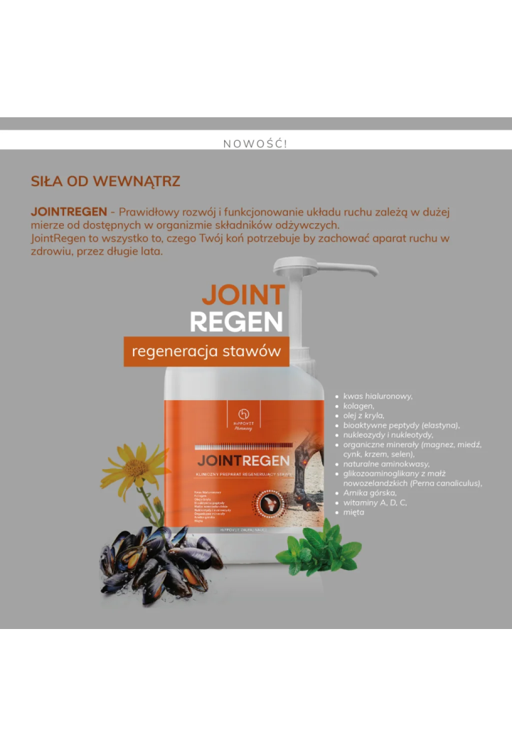 Suplement HIPPOVETPharmacy JointRegen stawy 2,5l