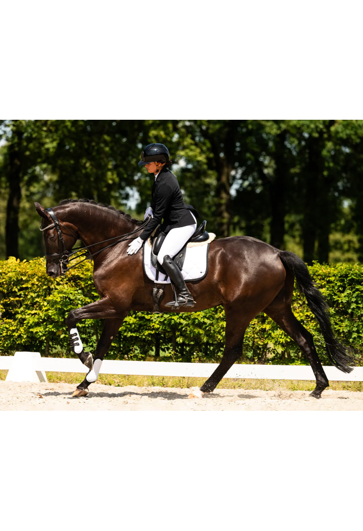 Bryczesy PresTEQ PerformNow full grip d