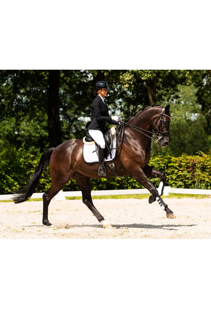 Bryczesy PresTEQ PerformNow full grip d