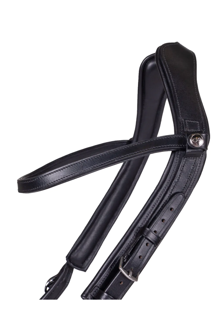 Ogłowie PresTEQ FaySport