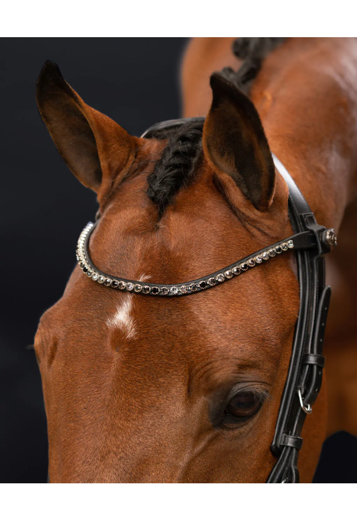 Naczółek PresTEQ ShineBright | Sklep jeździecki Horse-Trade.pl