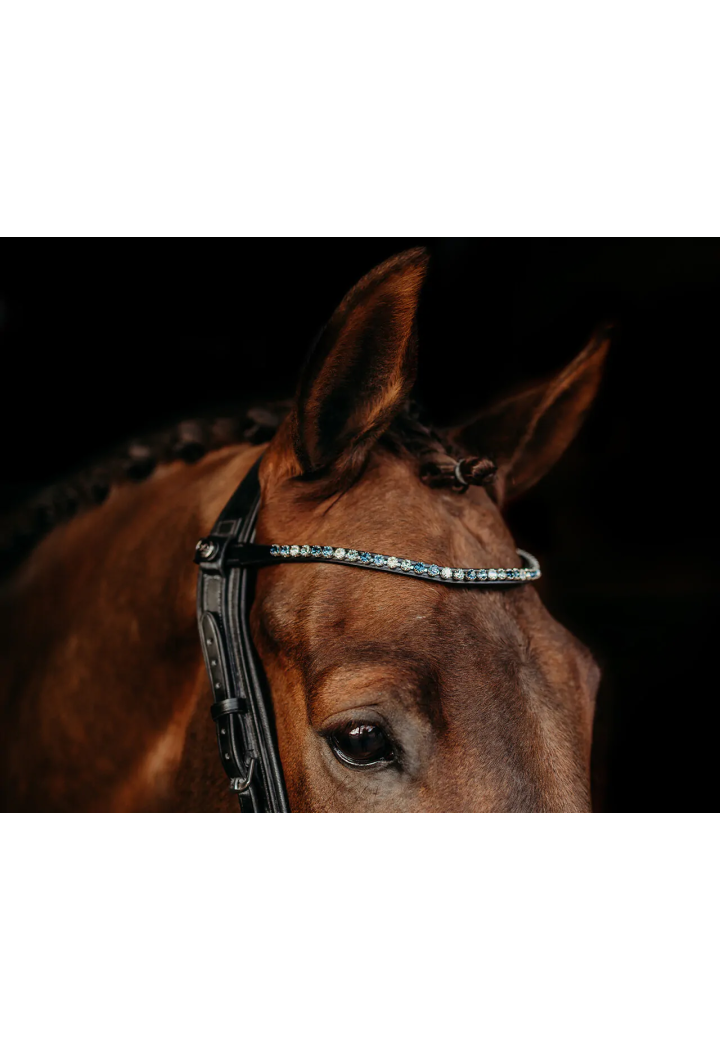 Naczółek PresTEQ ShineBright | Sklep jeździecki Horse-Trade.pl