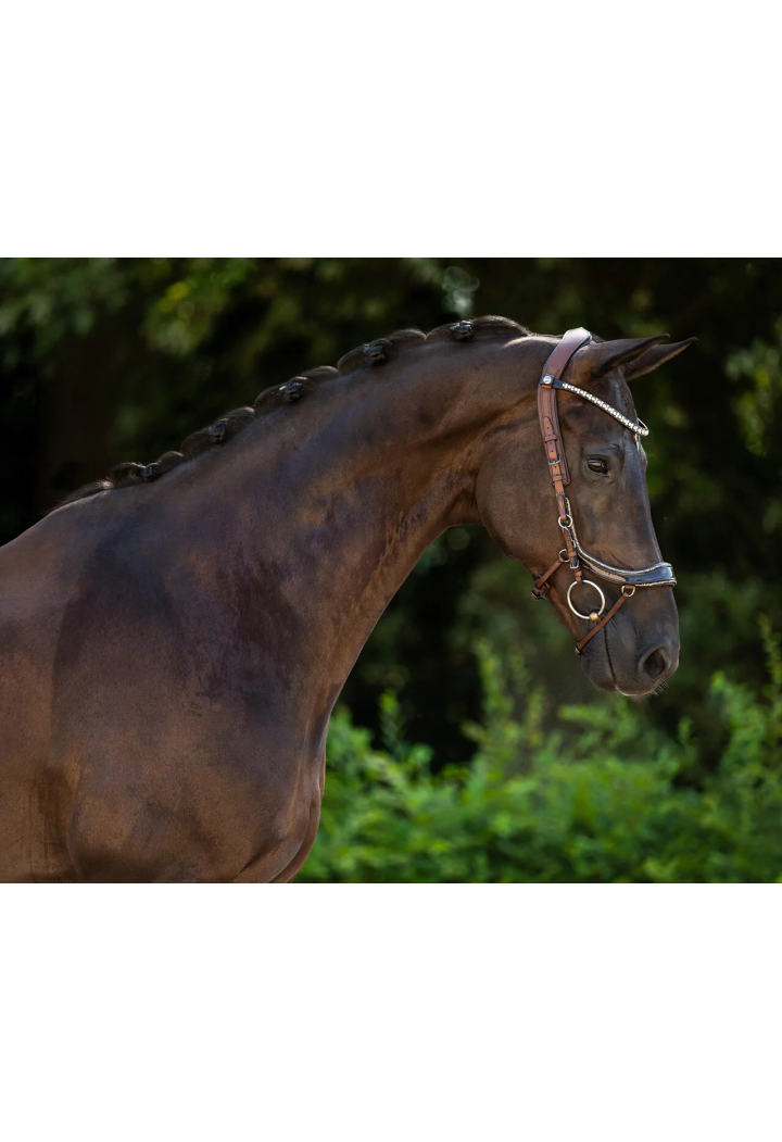 Ogłowie PresTEQ FaySport Glitter | Sklep jeździecki Horse-Trade.pl