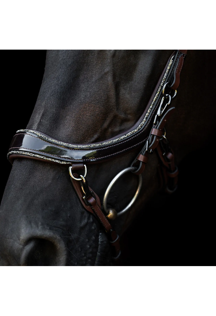 Ogłowie PresTEQ FaySport Glitter | Sklep jeździecki Horse-Trade.pl