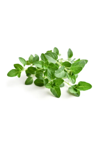 Oregano EQUIHERBS 500g