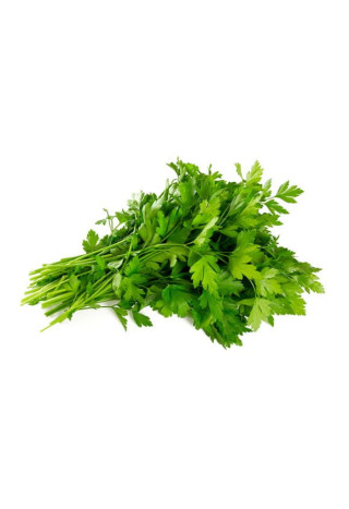 Pietruszka EQUIHERBS nać 1000g