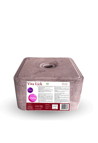 Lizawka solna OH Bronchi Lick vita 8kg