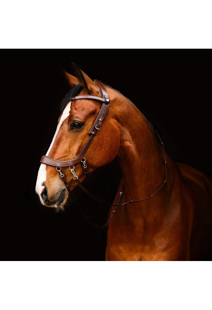 Ogłowie bezwędzidłowe PresTEQ FaySport