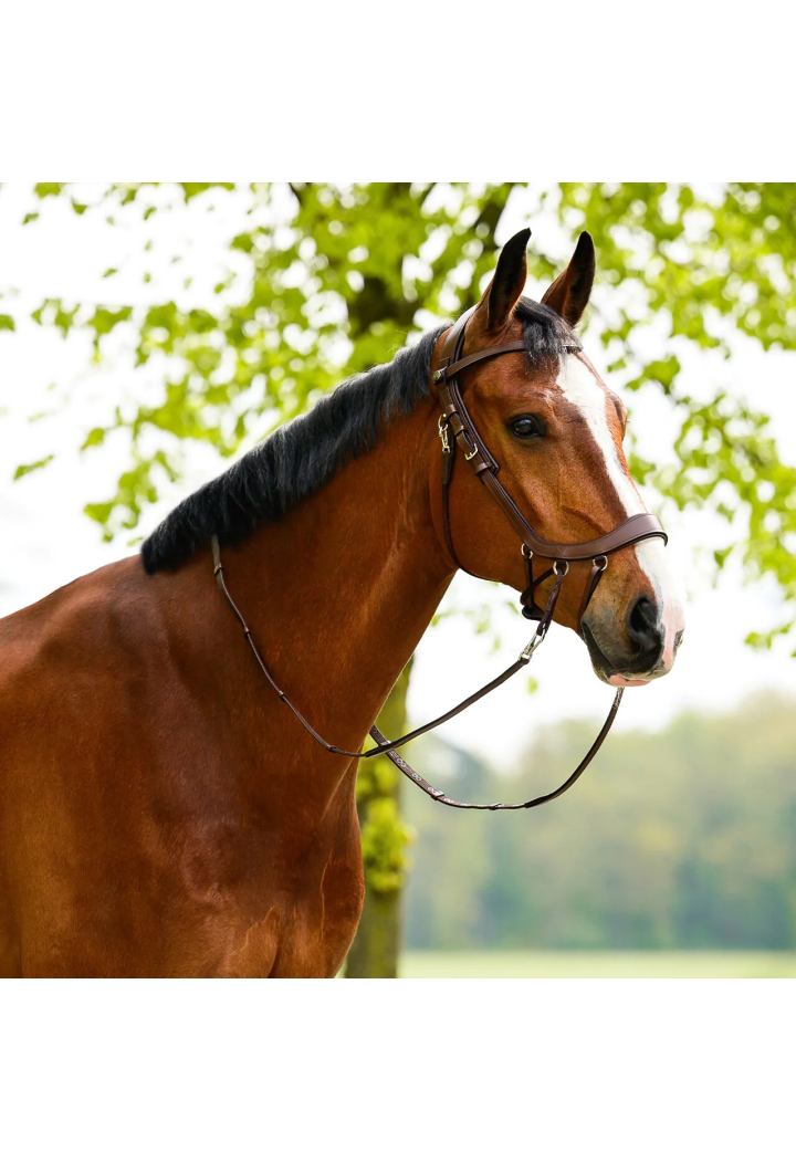 Ogłowie bezwędzidłowe PresTEQ FaySport