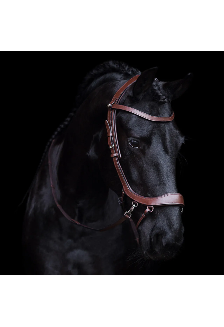 Ogłowie bezwędzidłowe PresTEQ FaySport