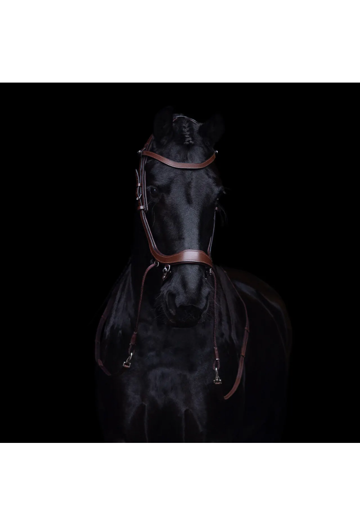 Ogłowie bezwędzidłowe PresTEQ FaySport