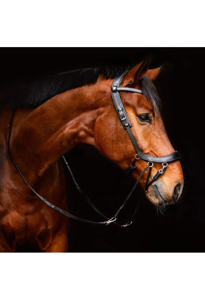 Ogłowie bezwędzidłowe PresTEQ FaySport