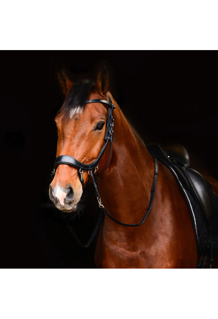 Ogłowie bezwędzidłowe PresTEQ FaySport