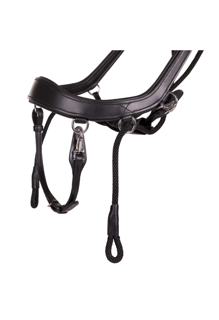 Ogłowie bezwędzidłowe PresTEQ FaySport