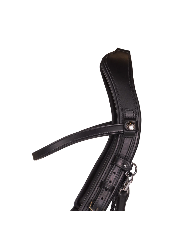 Ogłowie bezwędzidłowe PresTEQ FaySport