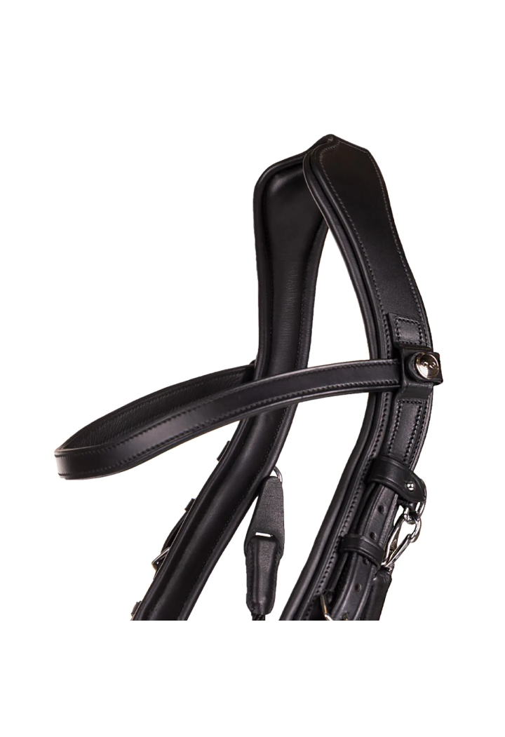 Ogłowie bezwędzidłowe PresTEQ FaySport