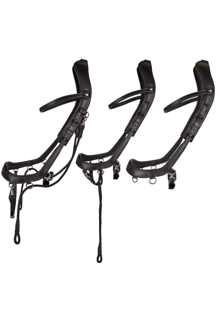 Ogłowie bezwędzidłowe PresTEQ FaySport