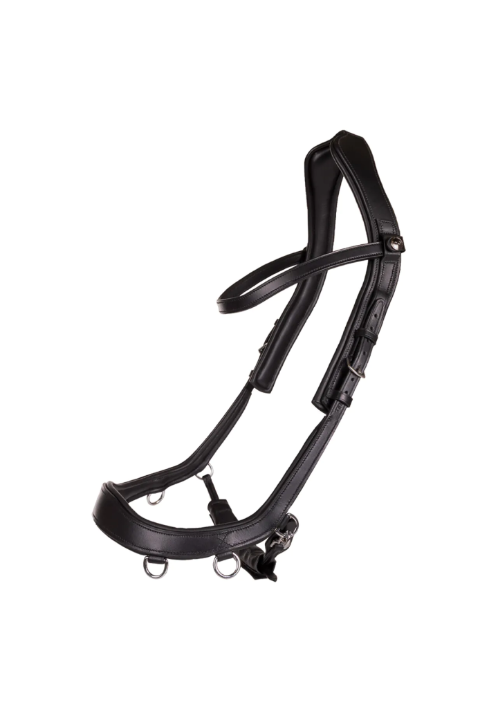 Ogłowie bezwędzidłowe PresTEQ FaySport