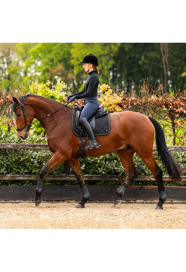 Ogłowie bezwędzidłowe PresTEQ FaySport