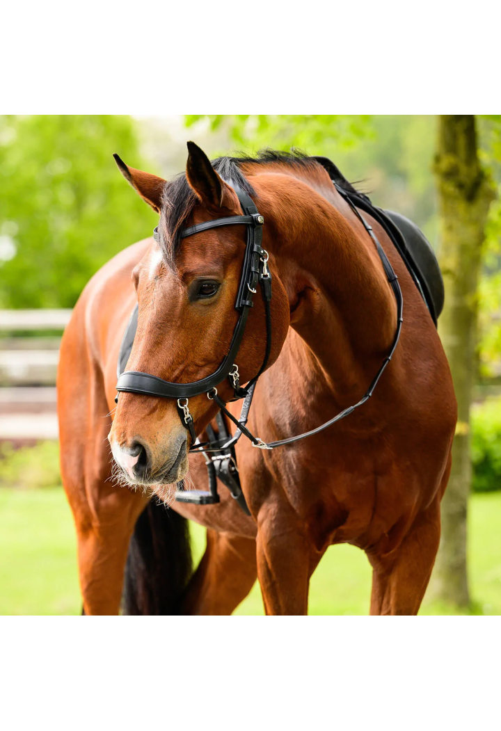 Ogłowie bezwędzidłowe PresTEQ FaySport