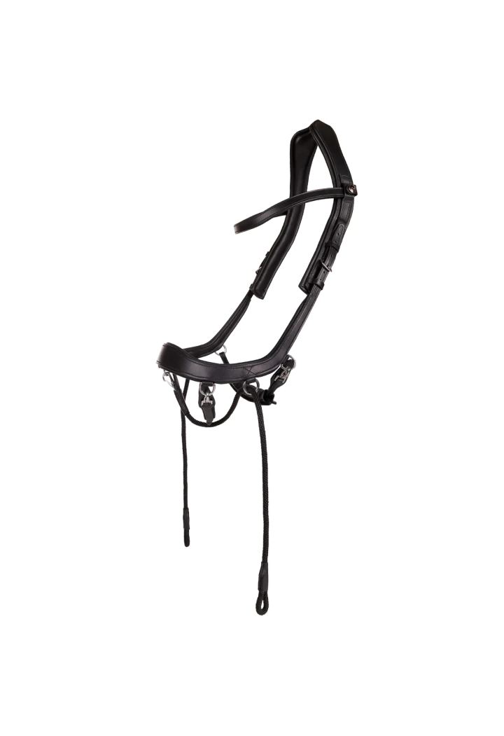 Ogłowie bezwędzidłowe PresTEQ FaySport